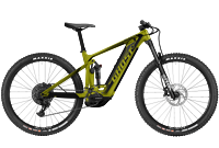 Ghost E-Riot Trail CF Advanced green L 21